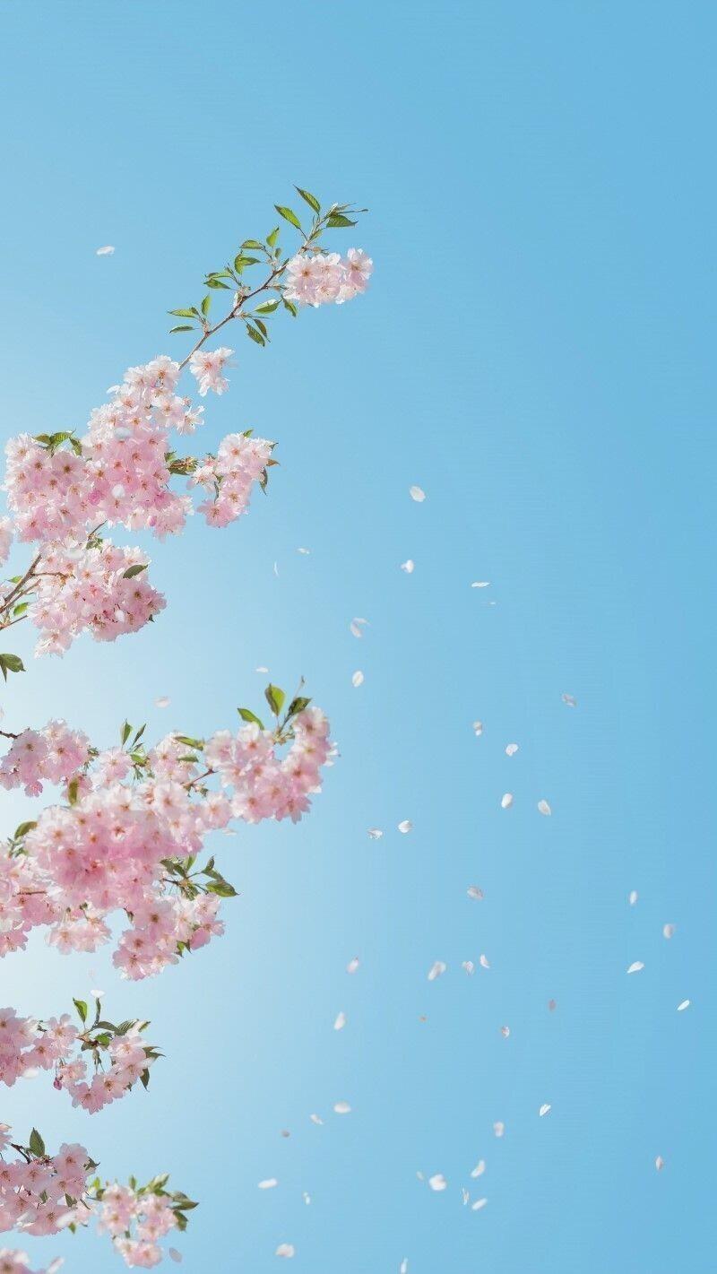 사진 찾는 사람들 좀 있는 것 같아서 이쁜거 올리구 갈게!!