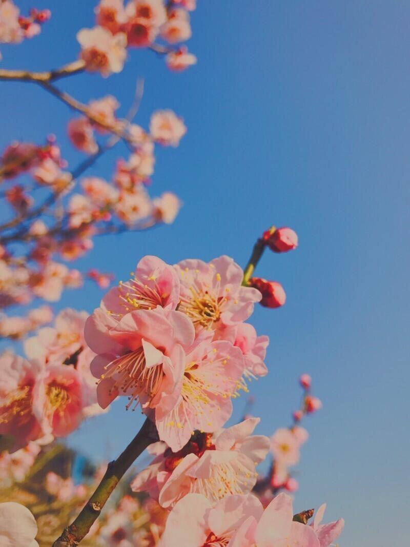 사진 찾는 사람들 좀 있는 것 같아서 이쁜거 올리구 갈게!!