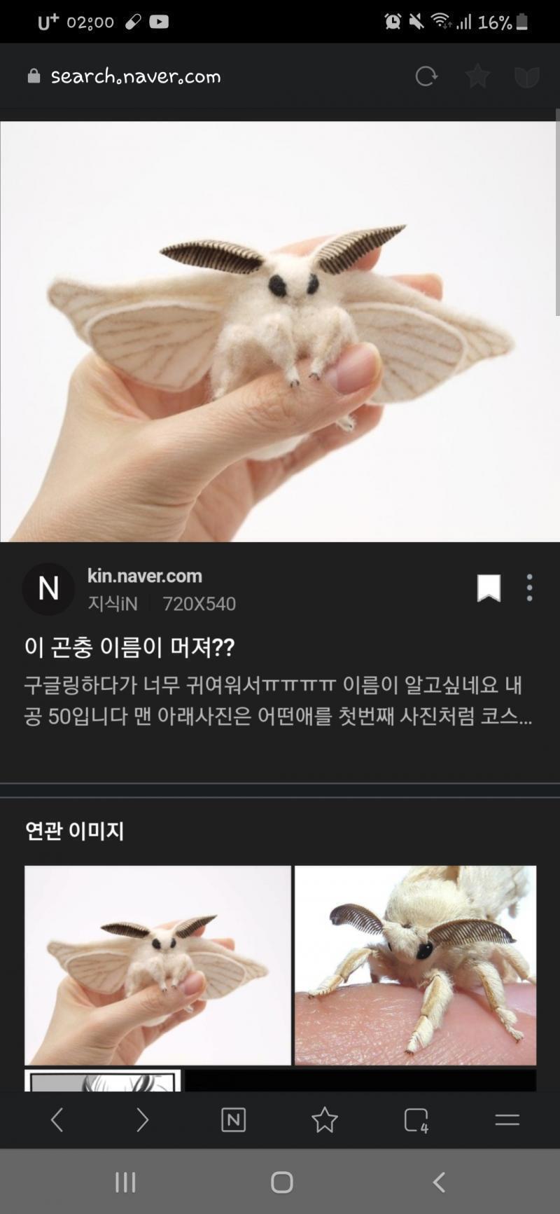 누에나방 ㄹㅇ 천사가 따로 없다