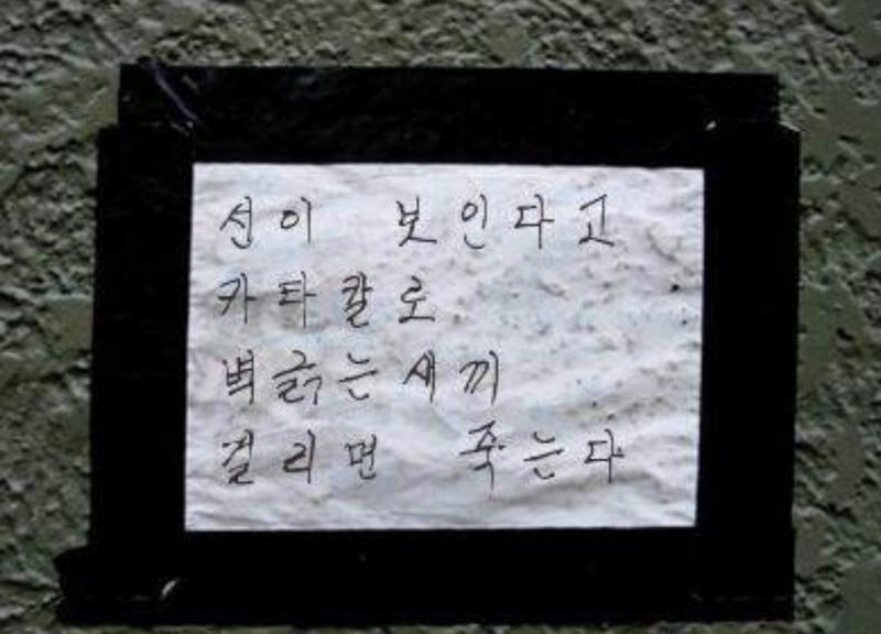 >>4 드디어 이 오래된 짤을 쓸 기회가 왔다!!