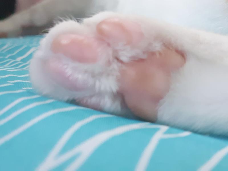 말랑말랑 행복해져라 ~~!