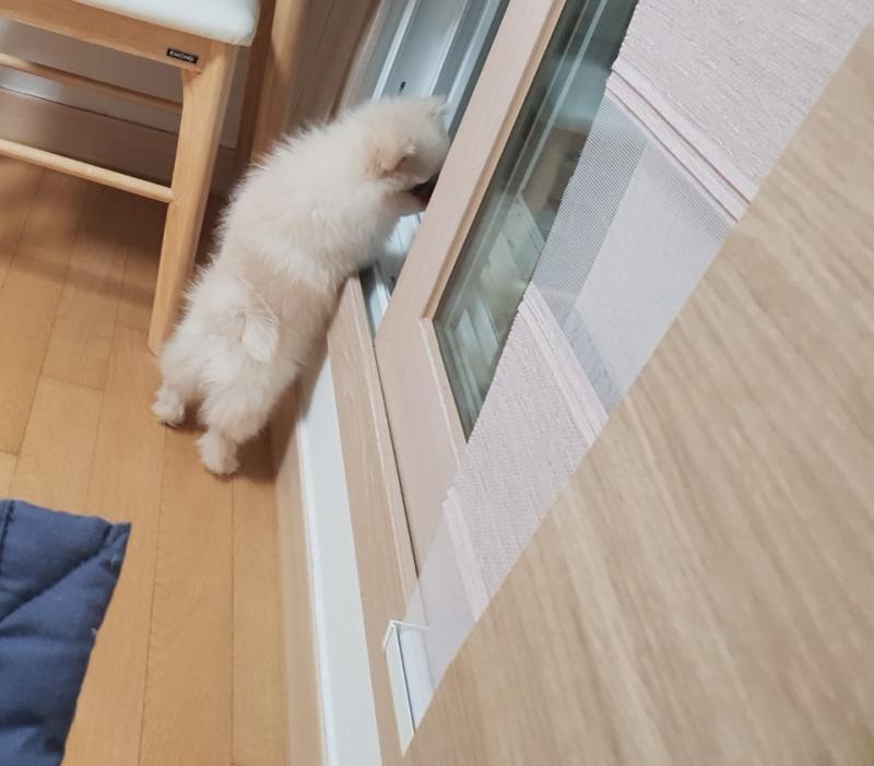 >>14 우리아가를 좋아해주다닝 !! 궁디도 좋아해조