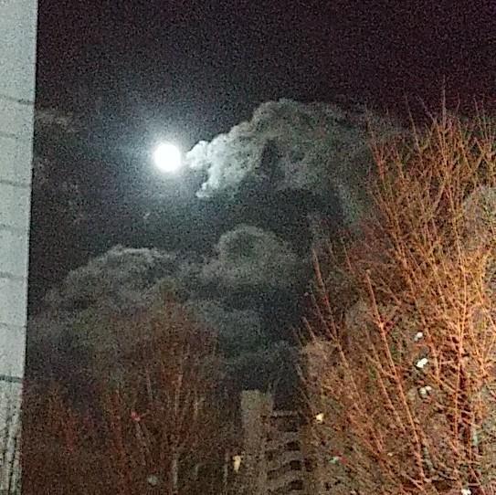 아이폰 갖고 싶다..