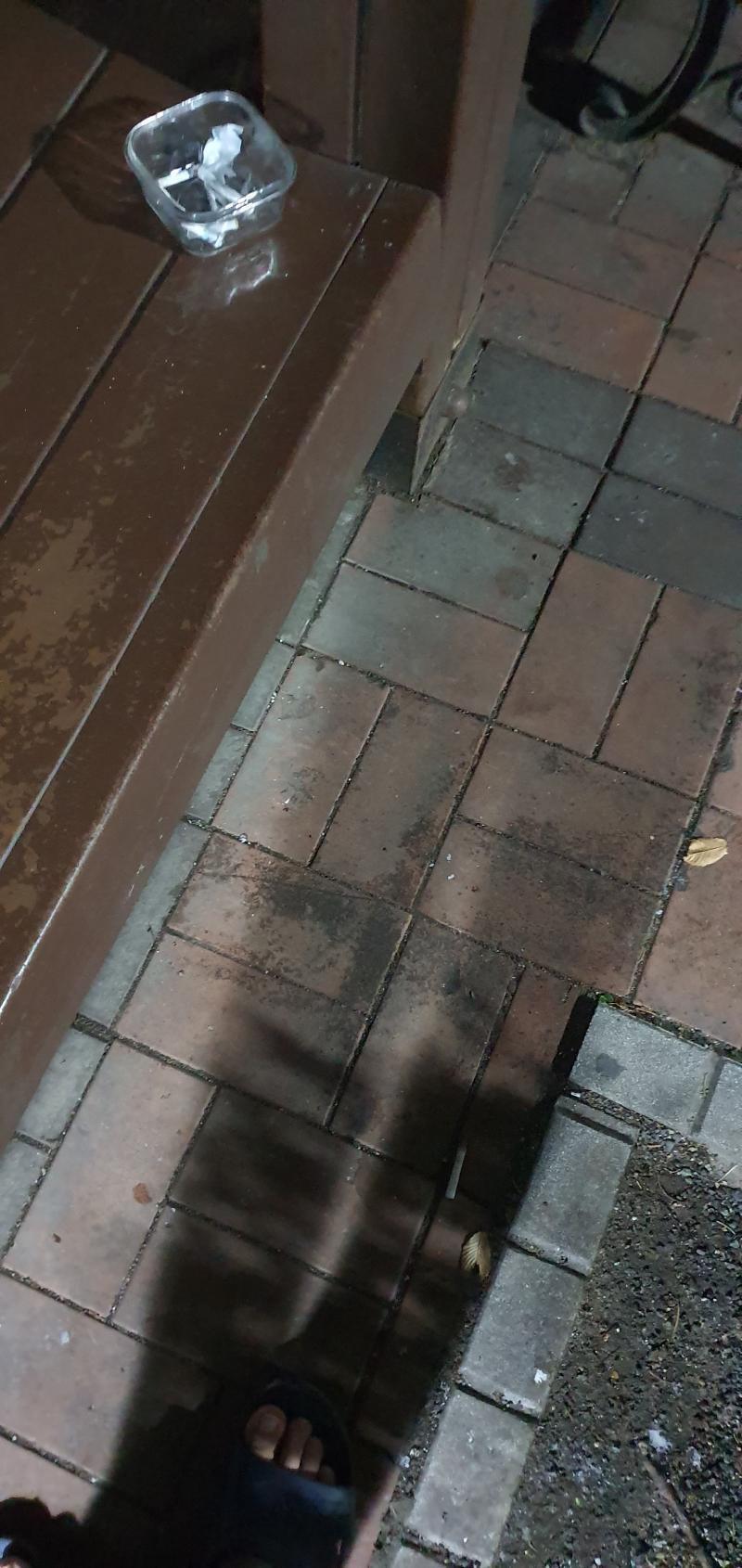 꽁초 버리라고 바로옆에 그릇까지 가져다 놨는데 너무하네 진짜 ㅋㅋ