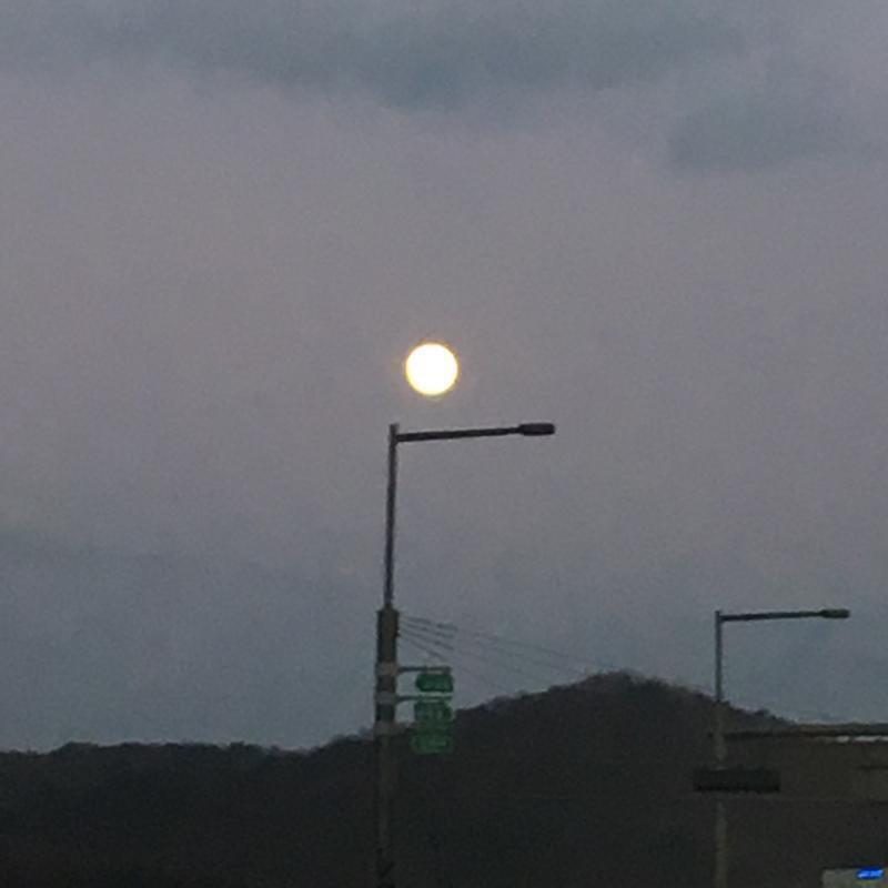 초저녁부터 동그랗게 이ㅛ더라ㅜㅜㅜ 개이뻐 달 사진은 이쁘게 찍기 힘들더라 그래서 좀 사진은 구려,,