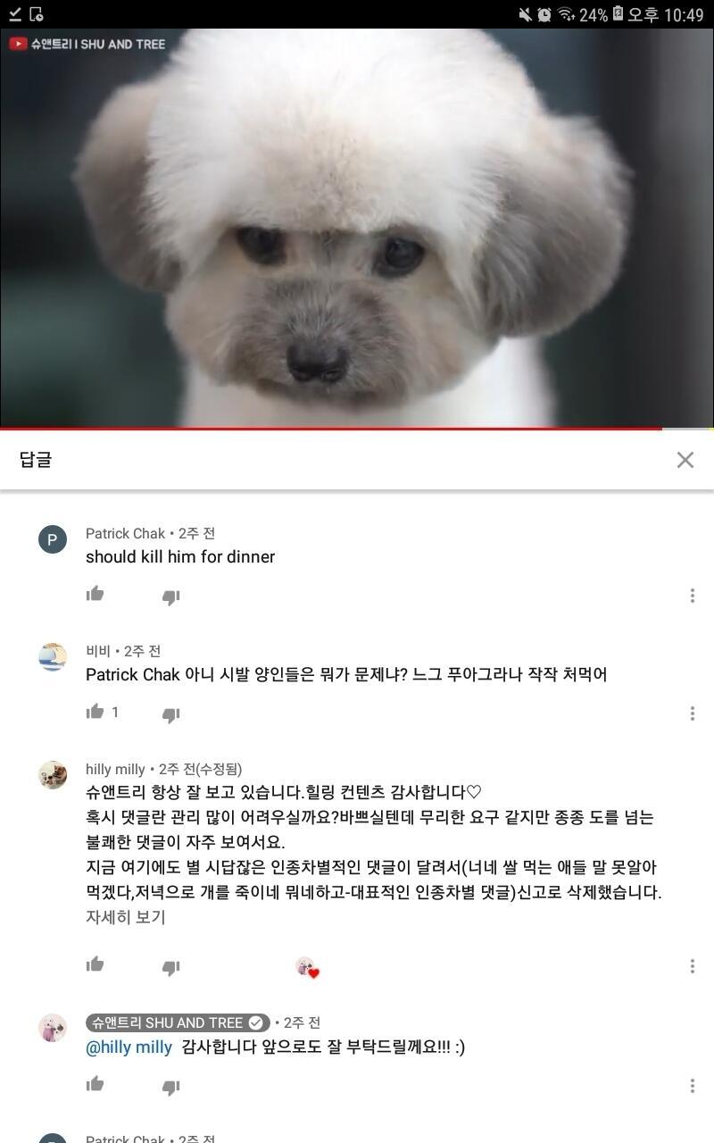 애견미용 채널임 저기 외국인 댓글보임?