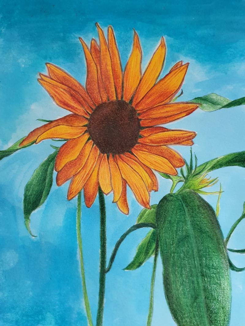 헉 오랜만이다,,,, 진짜 오랜만이다... 너무 반가워....... 이거 해바라기...🌻