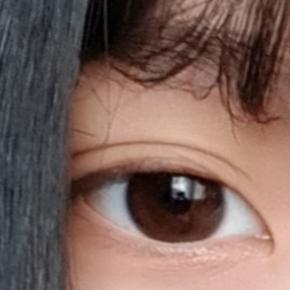 요거야