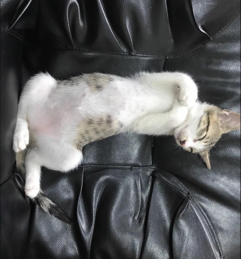 .