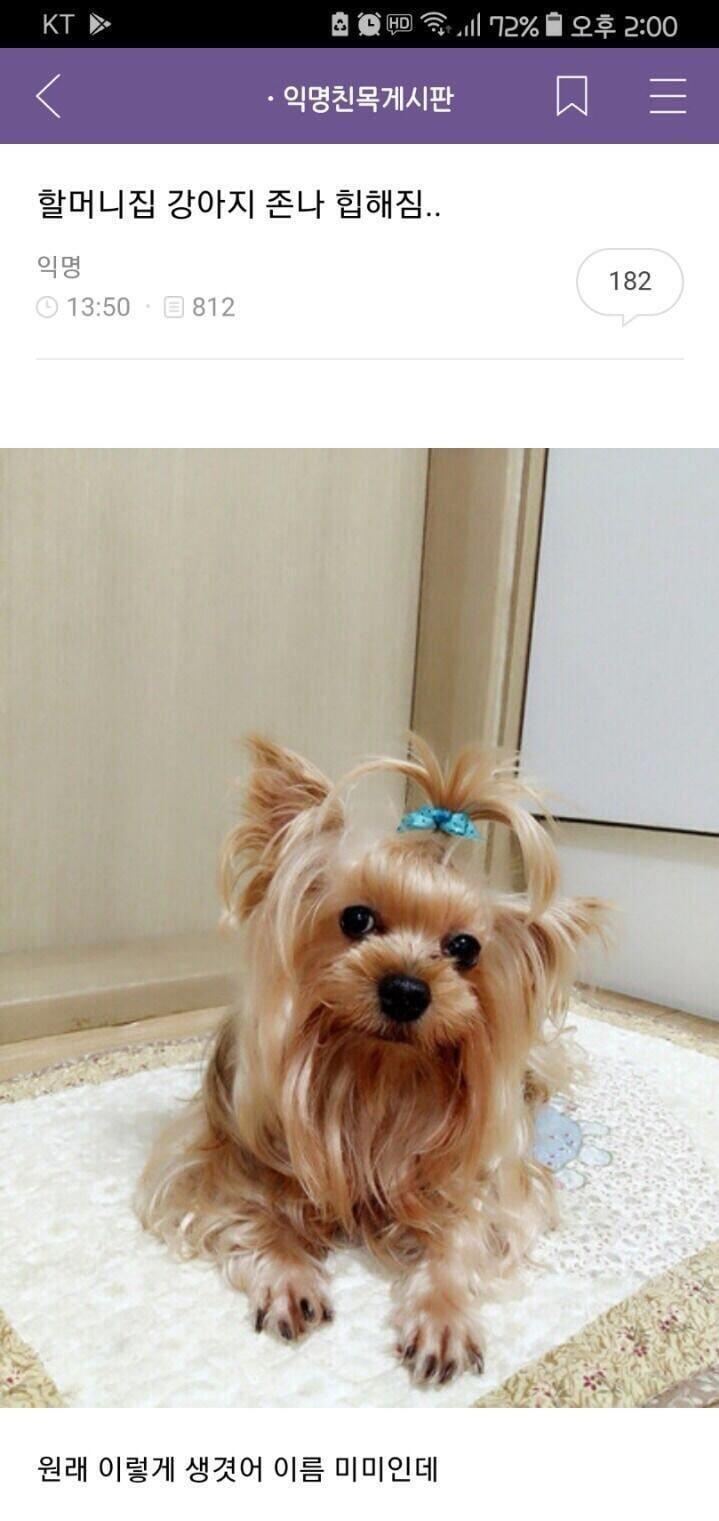 마지막은 내 스레딕 역사상 중 가장 기억에 남고 임팩트가 큰 짤...