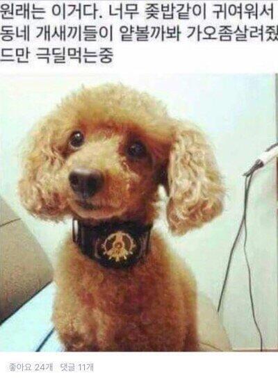 잡담판에 언급되어 있길래 올릴 겸 갱신