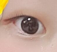 갈색섀도우 한눈