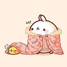 몰랑이 사진