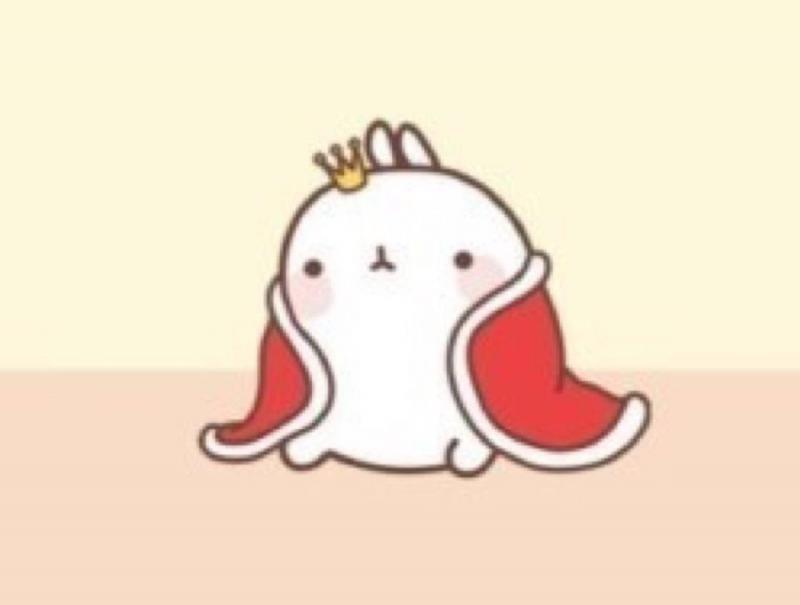 몰랑이 사진