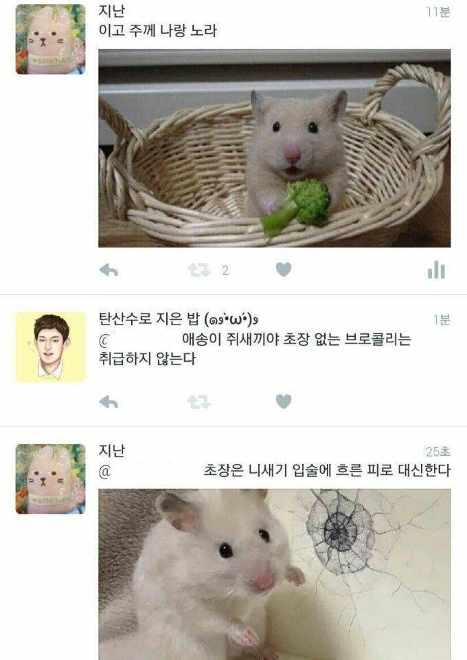 나는 햄스터가 귀여웠어ㅋㅋ