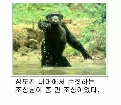나는 햄스터가 귀여웠어ㅋㅋ