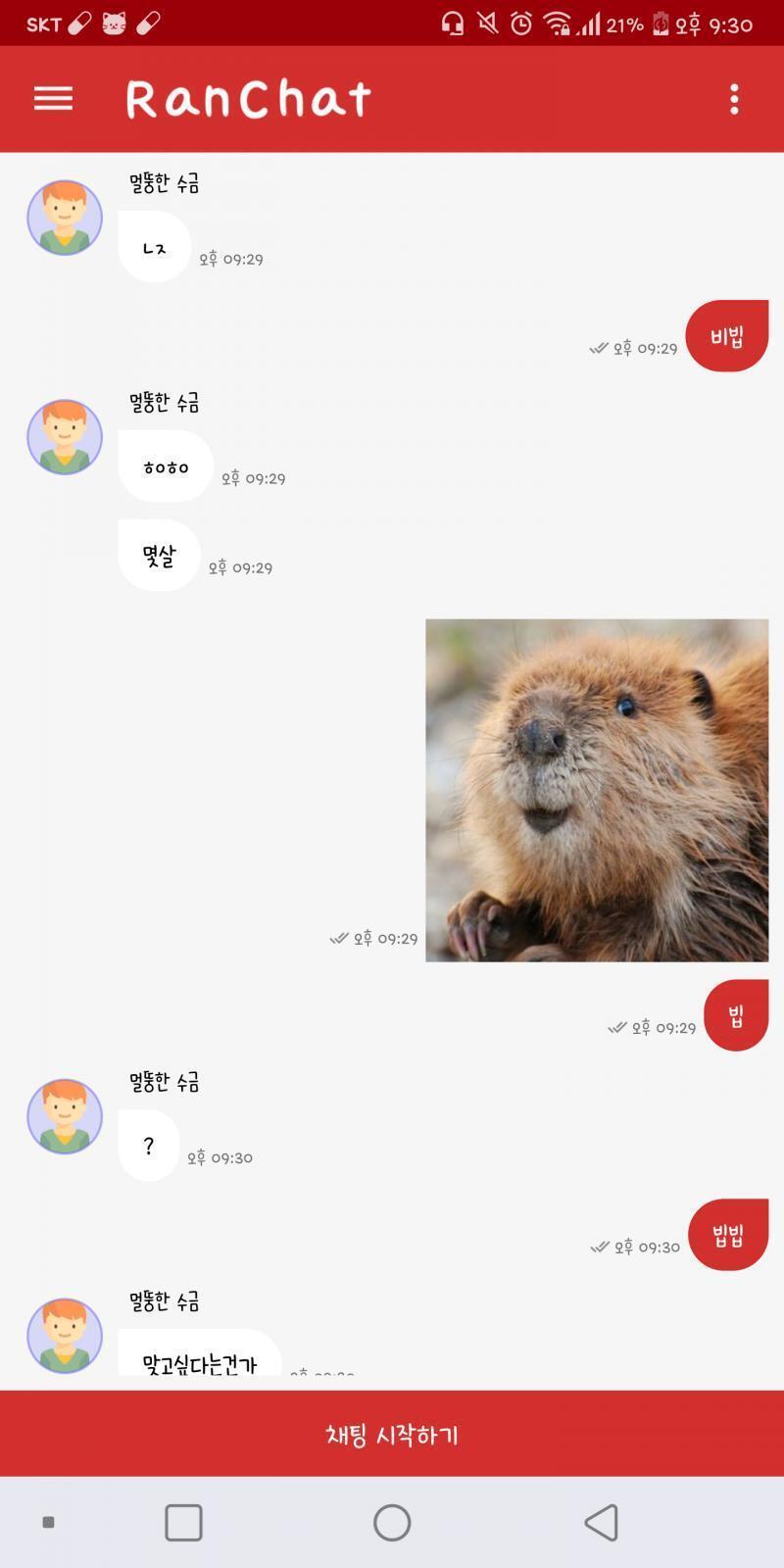 다들 비버를 싫어해...