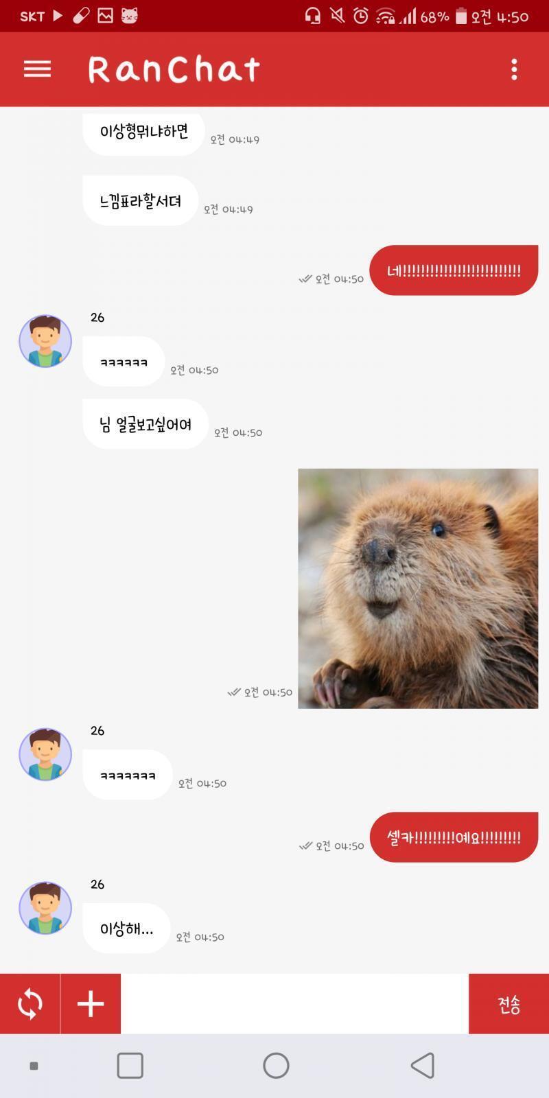 느낌표+비버