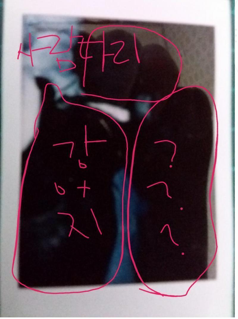 사람 다리위에 강아지놓고 찍은거 아닐까? 사람이 레깅스같은거 검은색입구 그위에 검정강아지 올리고 사진찍은거 아닐까?