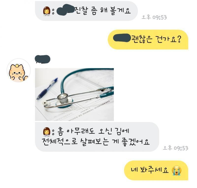 병원 (치즈냥)