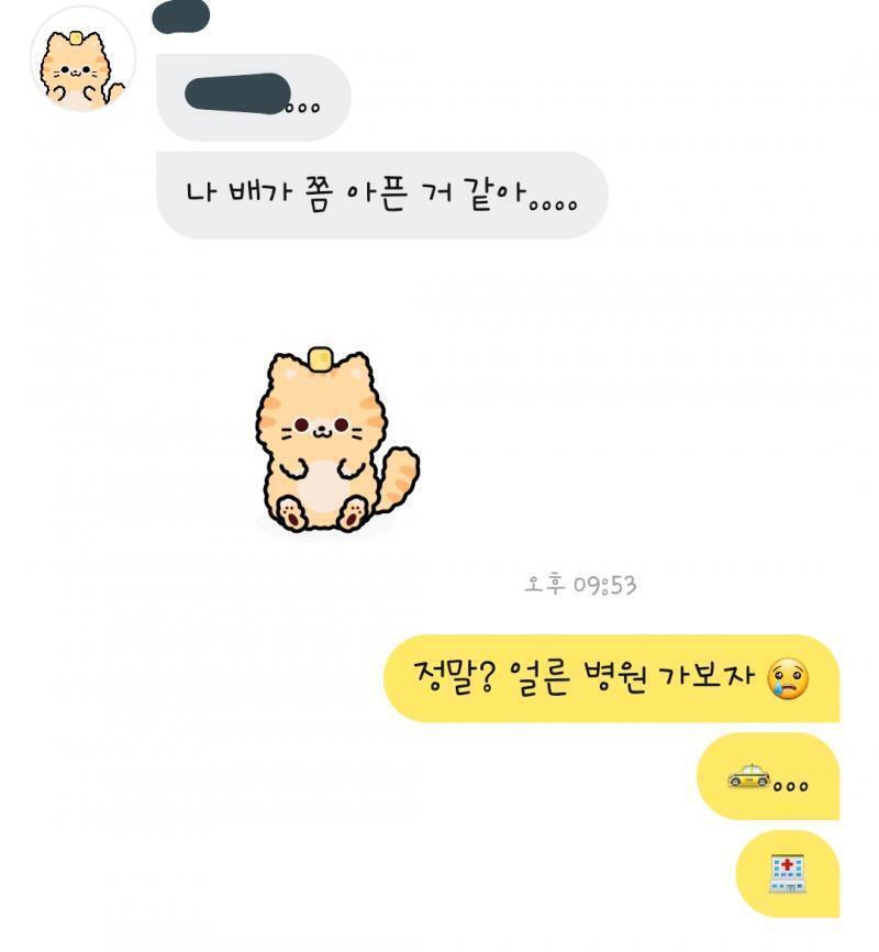 병원 (치즈냥)