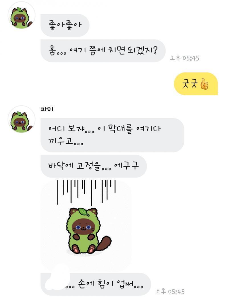 캠핑