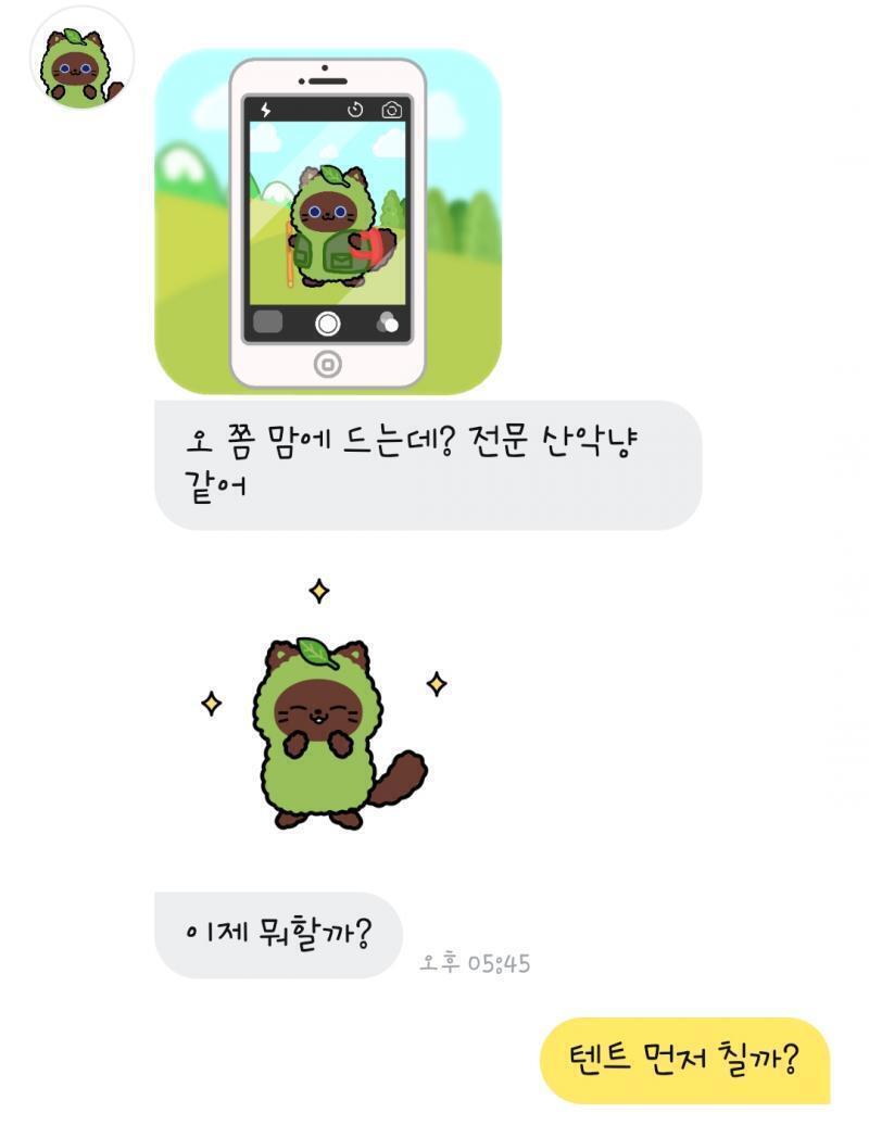 캠핑