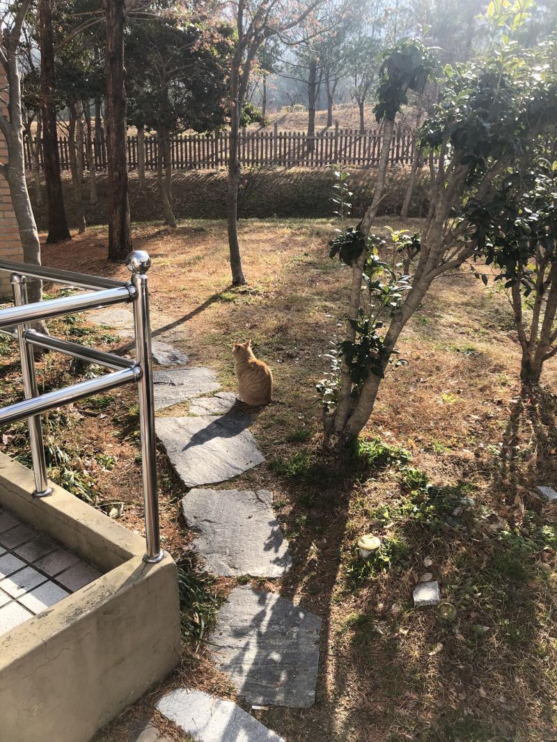 이 정도면 어른인가??