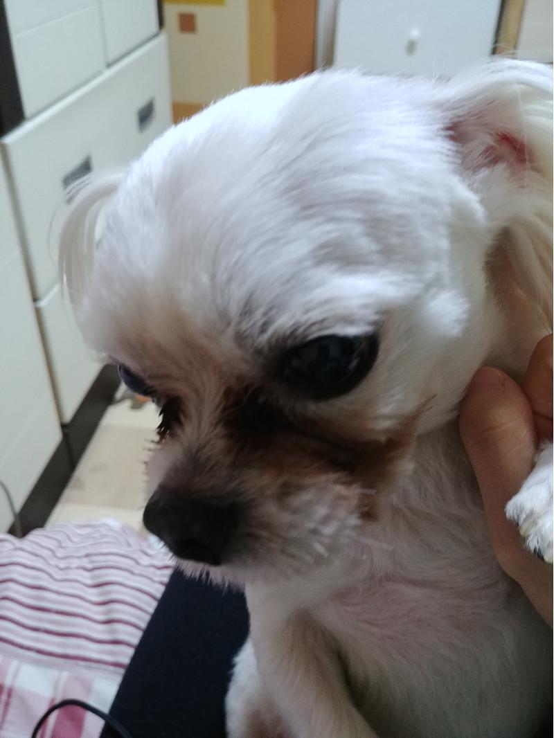 오랜만에 스레드 갱신할게 우리테오 근황이야