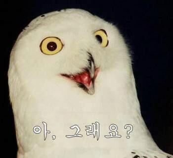 >>872
