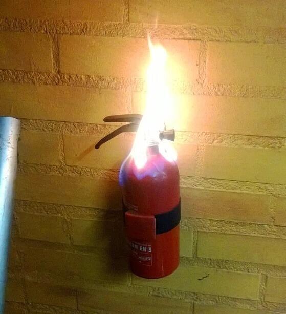 이 스레 상황에 걸맞는 짤