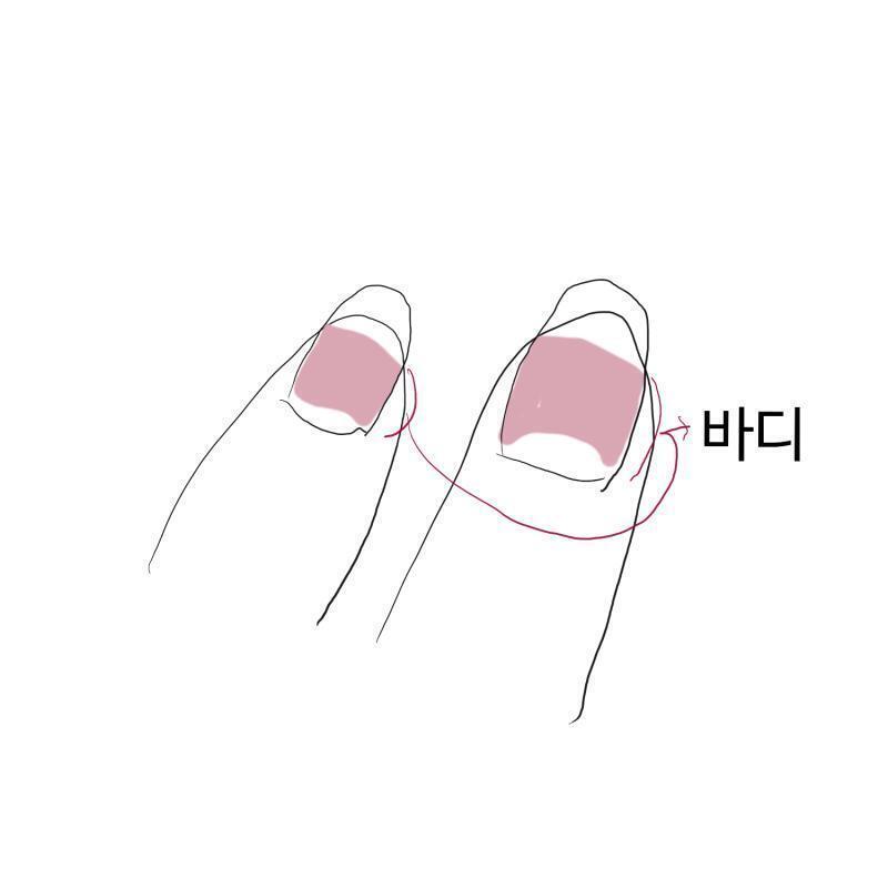 지금 내 손톱이 저렇거든?? 바디가 엄청 짧고, 그림만큼은 아니지만 손톱을 좀 기른 상태야