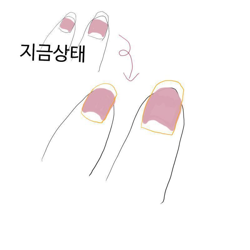 >>10 레스 사진처럼 바디 길어질 때까지 유지하다가 최종으로는 이렇게 기르는게 목표야