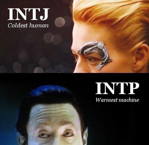 intp는 가장 따뜻한 기계고 intj는 가장 차가운 인간이래 ㅋㅋㅋㅋ 나는 intp 여성애자^^
