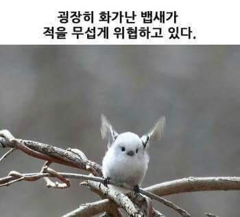 (짤털ㄹ