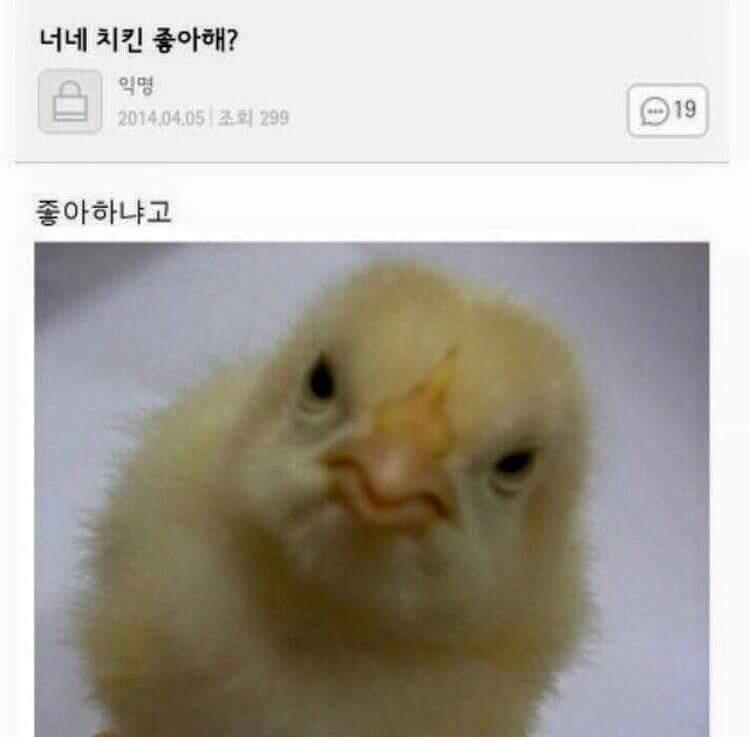 삐약
