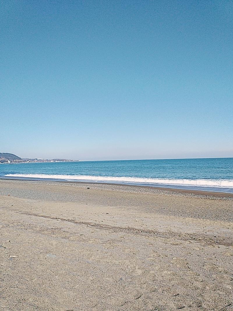 버스 기사님 개 멋져!! 막힘이 없이 30분 만에 도착했어!!! 내가 오려고 했던곳은 사진을 보세요!!
