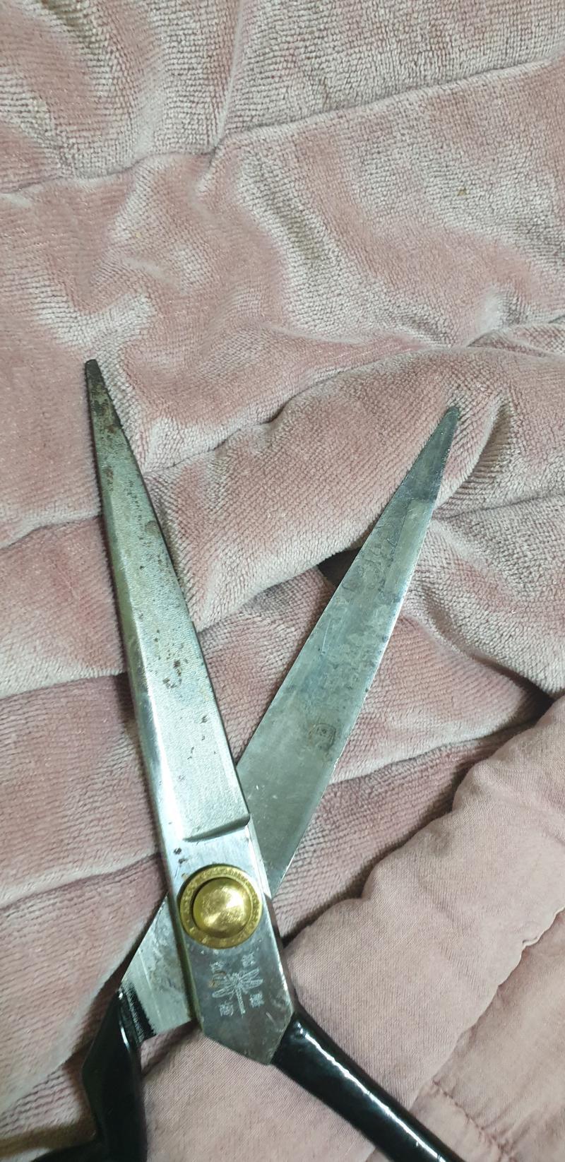 이게 가위 사진