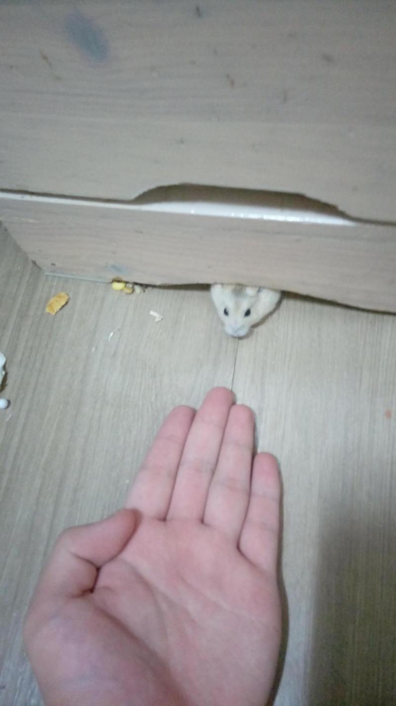 어째서 이런 사진이