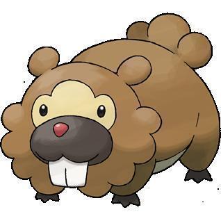 비버
