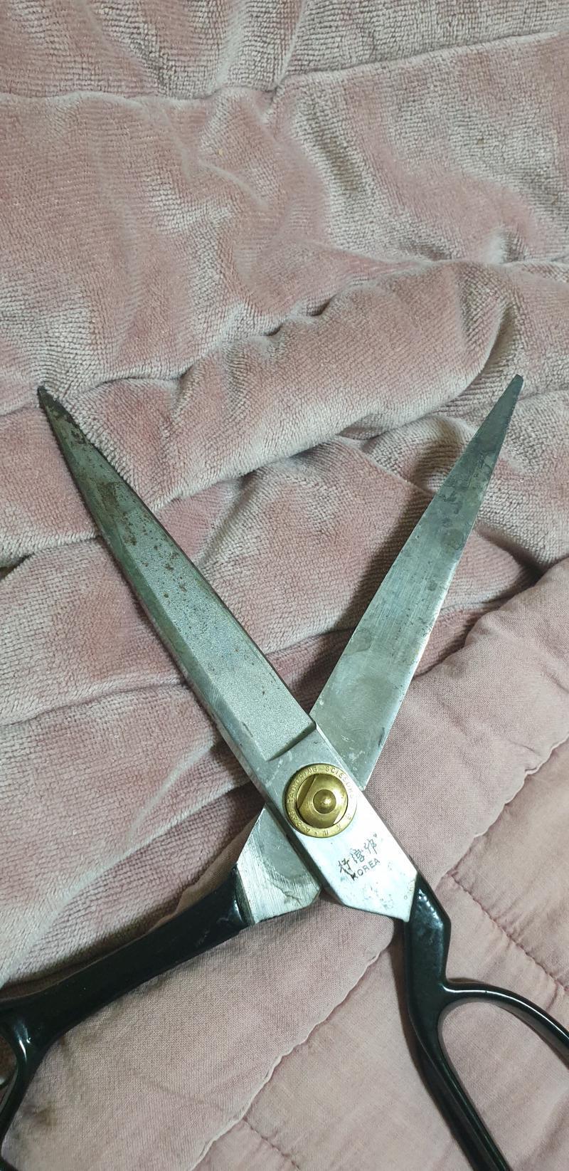 이게 가위 사진