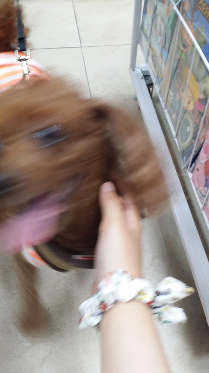 호에엑