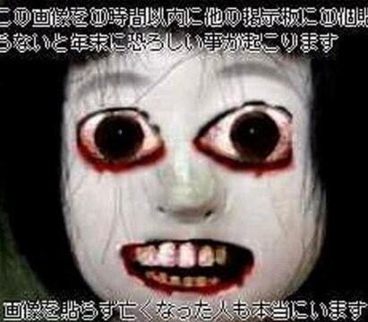 >>926 짠 고양이사진