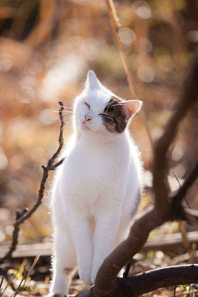 >>67 아 깜짝이야 진짜!!!!!!!!!!! 미쳤나봐!!!!!!!!! 진짜 귀신짤인줄 몰랐잖아 심지어 예전에 몇번 본 사진인데도 놀랐음ㅋㅋㅋㅋ