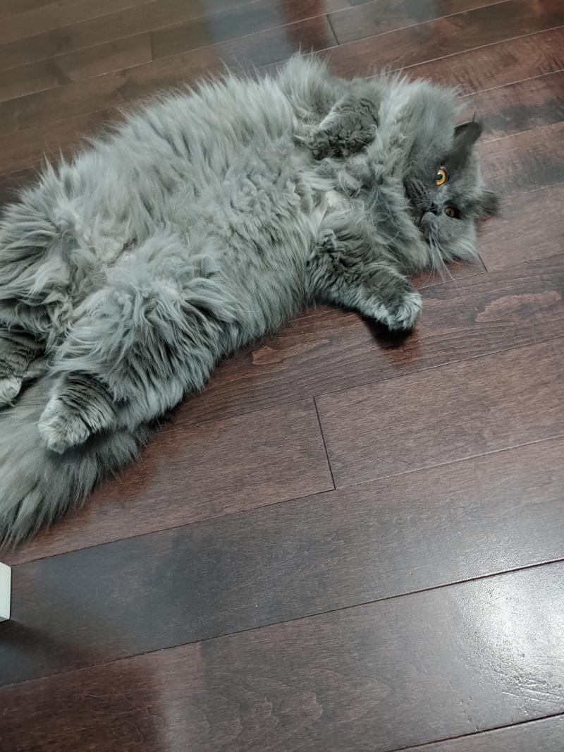 보고 깜짝 놀랐네 진짜 왜 이러는 거야.