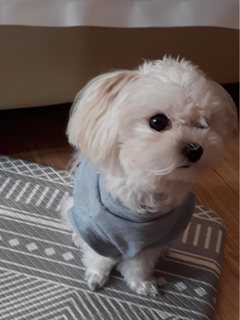 짠