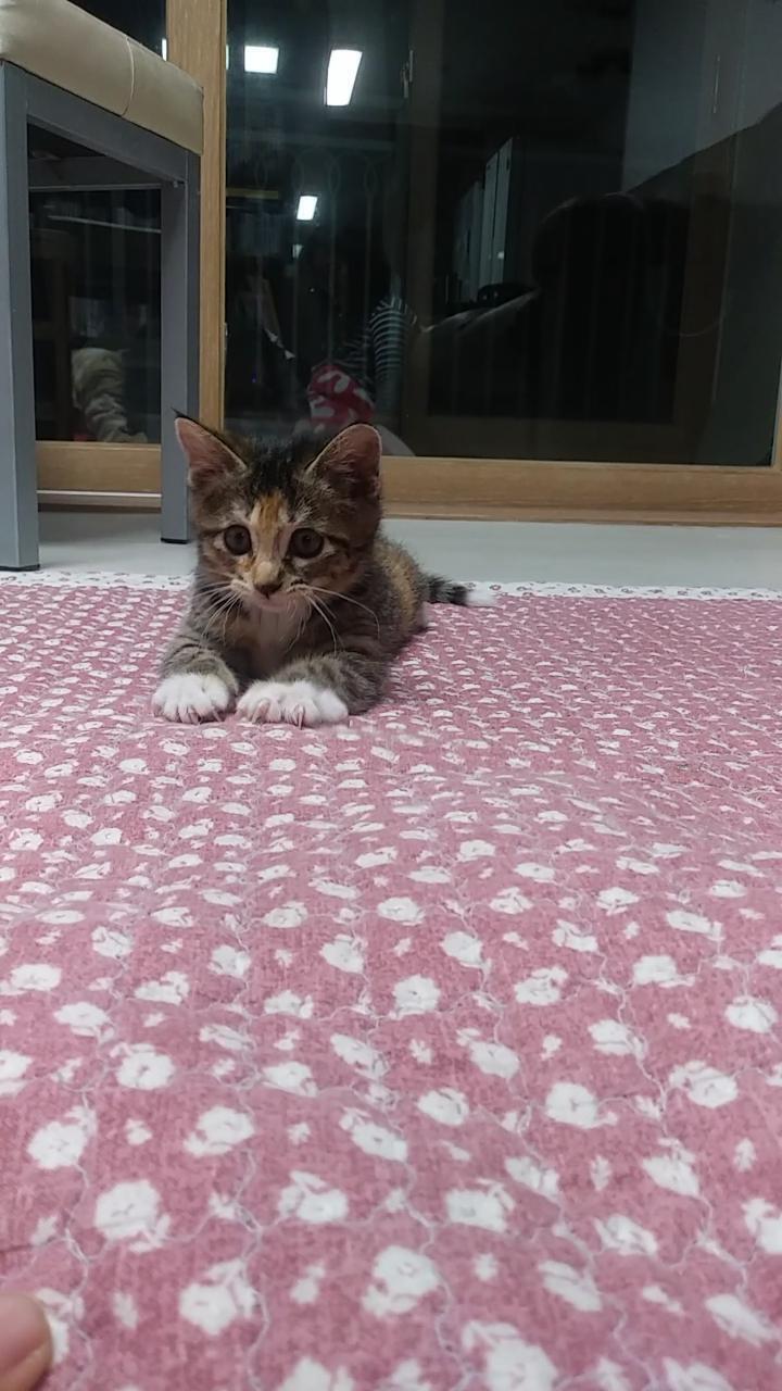 흐히히