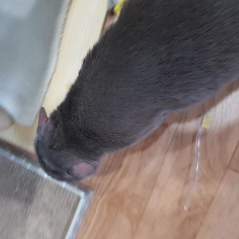 이거야