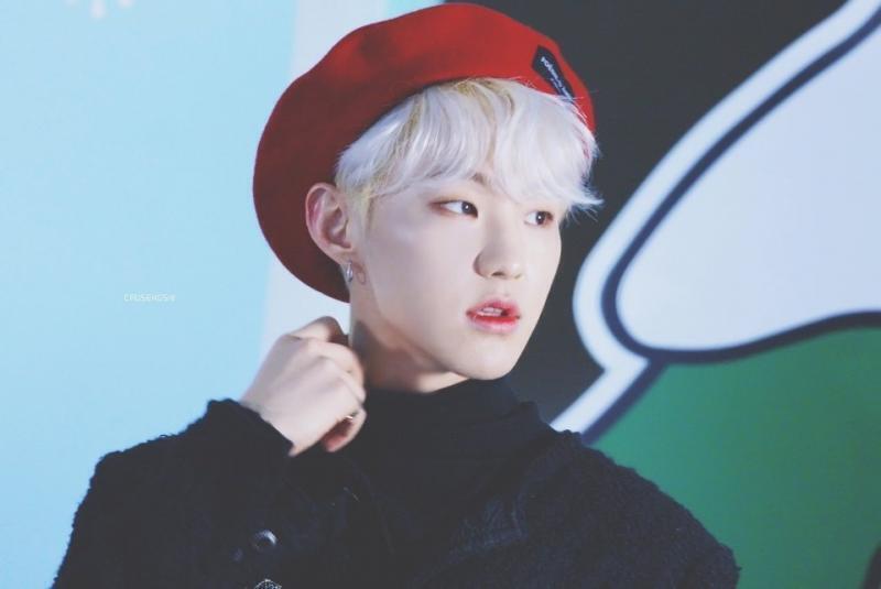난 세븐틴 호시 영업 할게 진짜 얘 완전 살 빼고 용 됐어 갑빠도 탄탄한 햄스터 호랭이야 ㅠㅠ