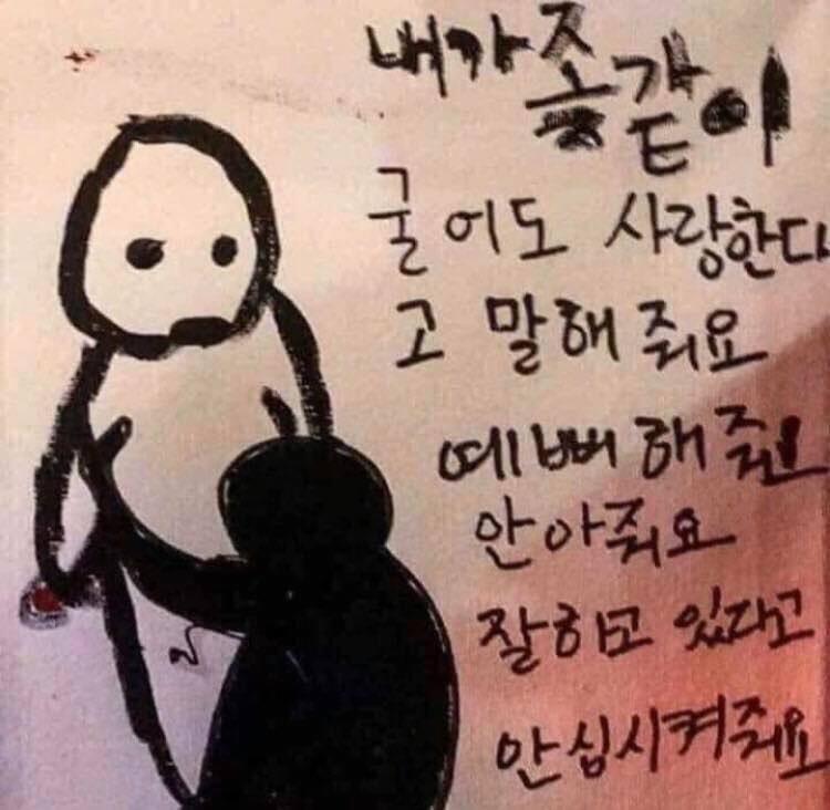 이런 거 있는분 ㅠㅠ